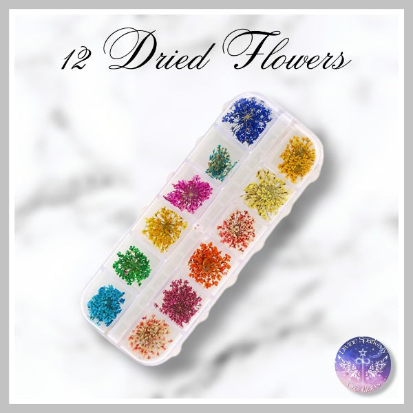12 Dried Flowers