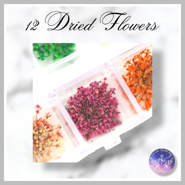 12 Dried Flowers